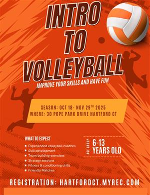 Volleyball